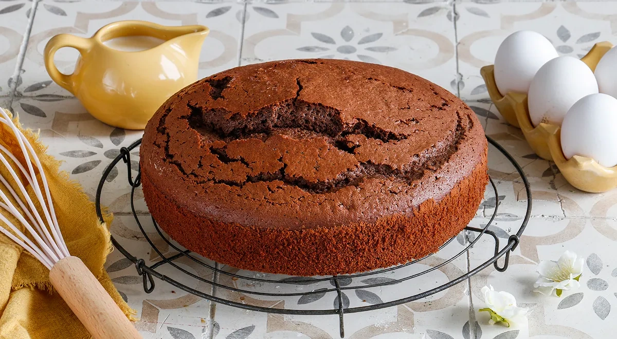 Американский шоколадный бисквит