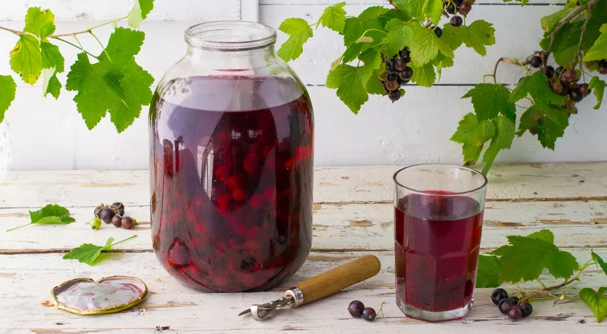 Компот из черной смородины на зиму, Заходник