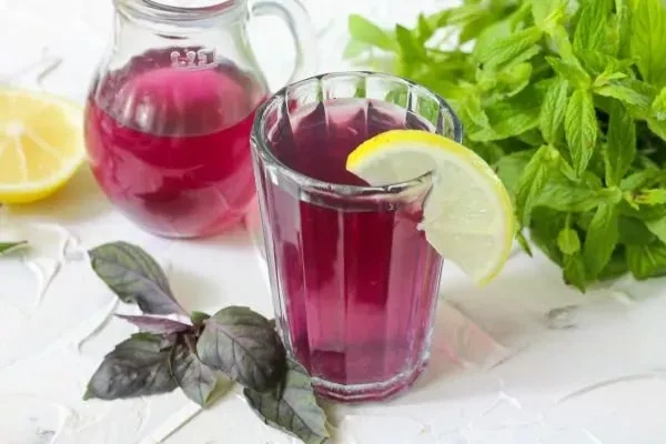 Напиток из базилика, лимона и мяты