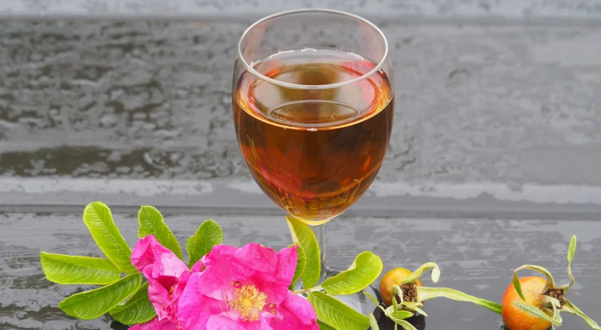 Настойка на шиповнике