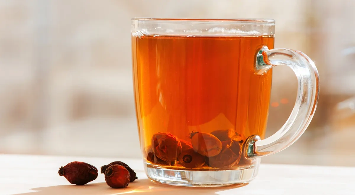 Отвар шиповника