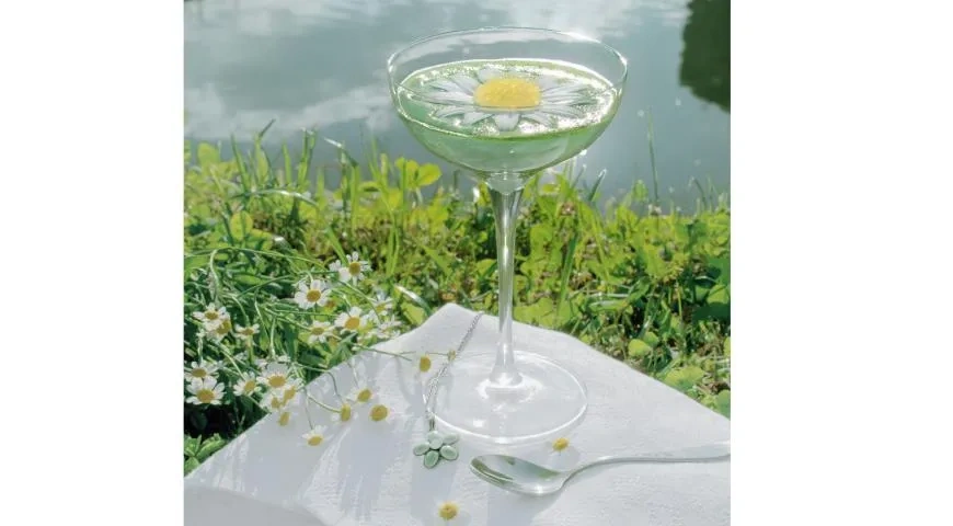 Панакотта из щавеля с гелем из огурца и икрой из ромашки