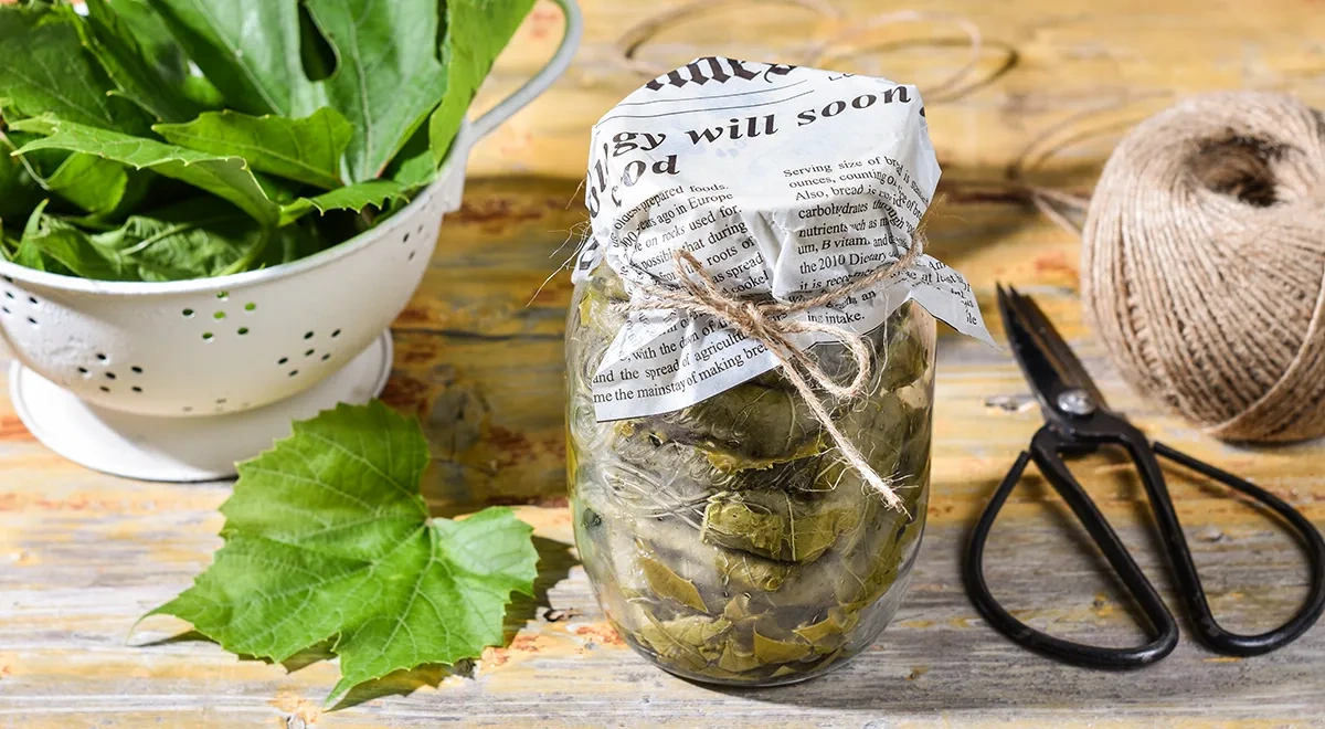 Заготовка виноградных листьев на зиму для долмы