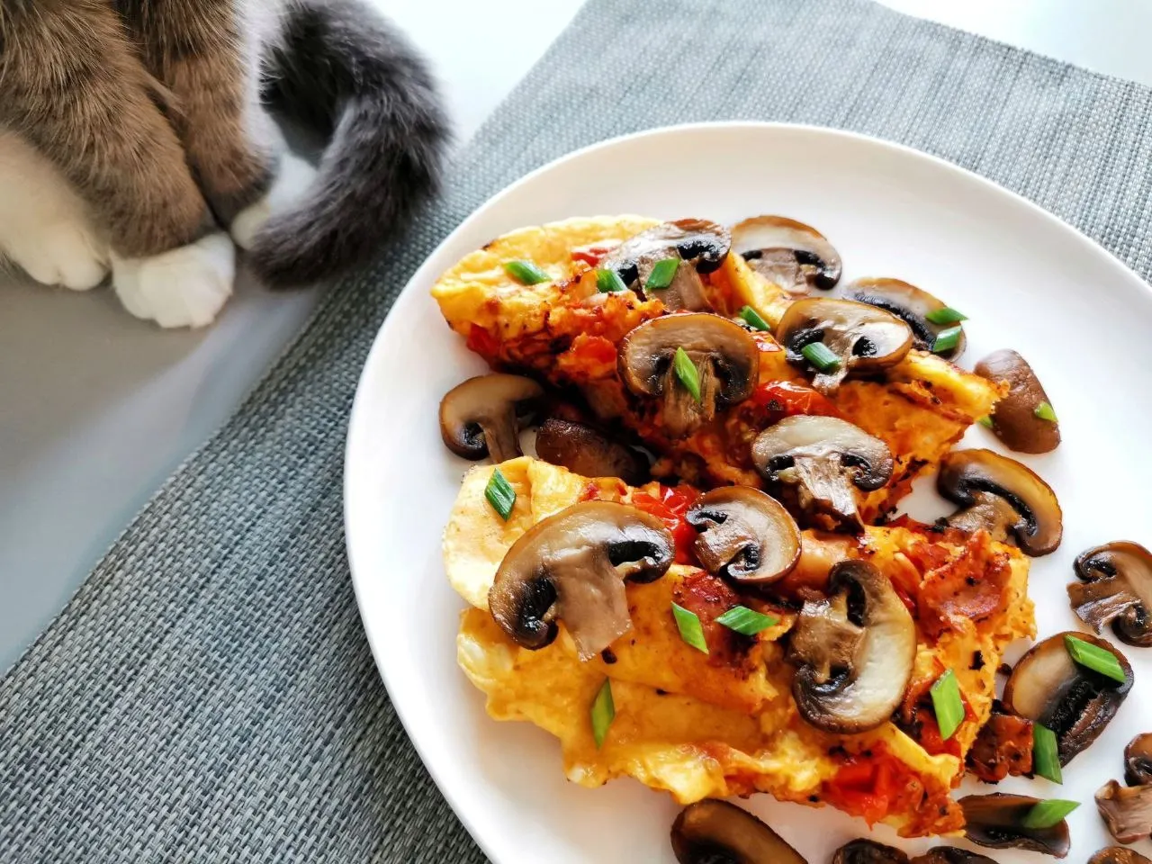 Омлет с грибами