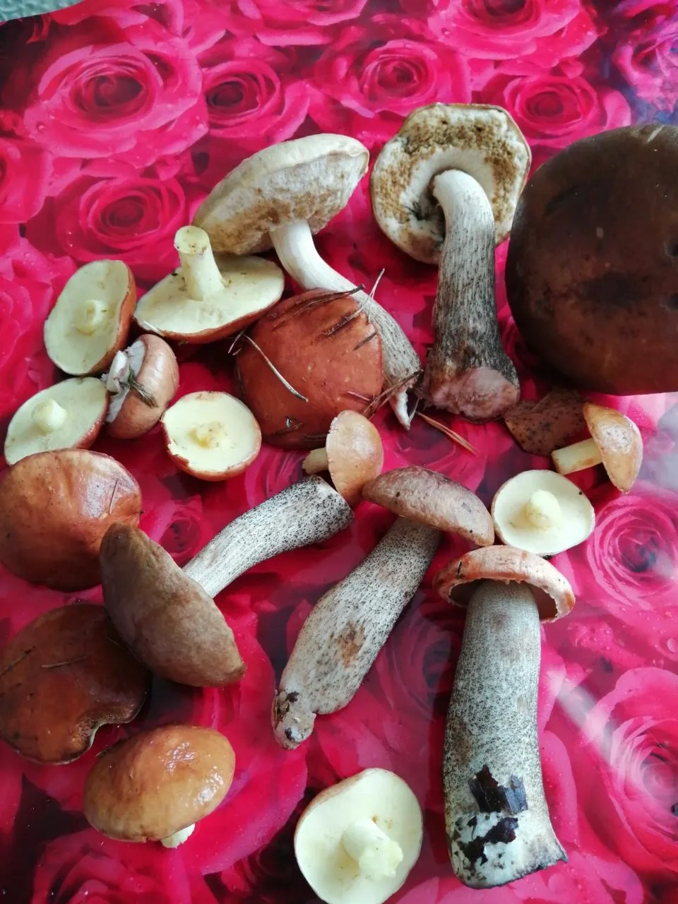 Грибы, жаренные с картофелем: шаг 1