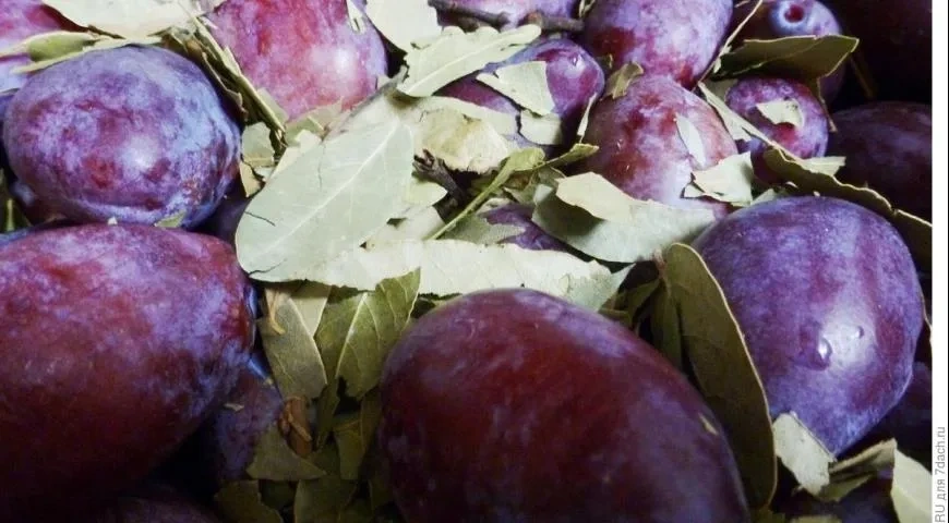 Маринованные сливы: шаг 1