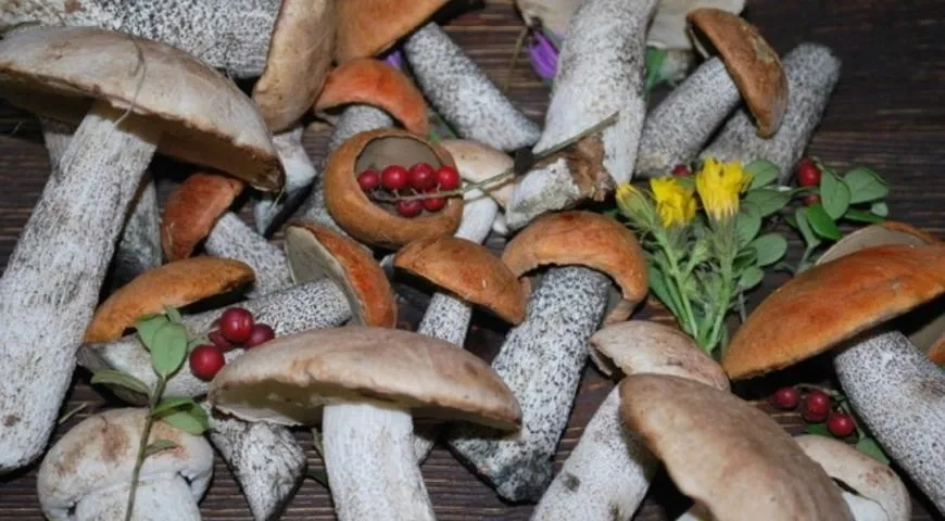 Пирог из теста фило с лесными грибами: шаг 1