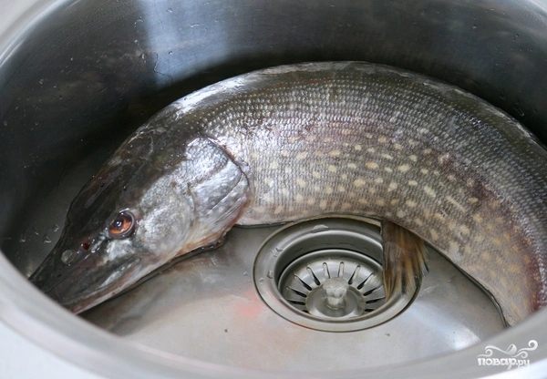 Шаг 1: Рыбные котлеты из щуки