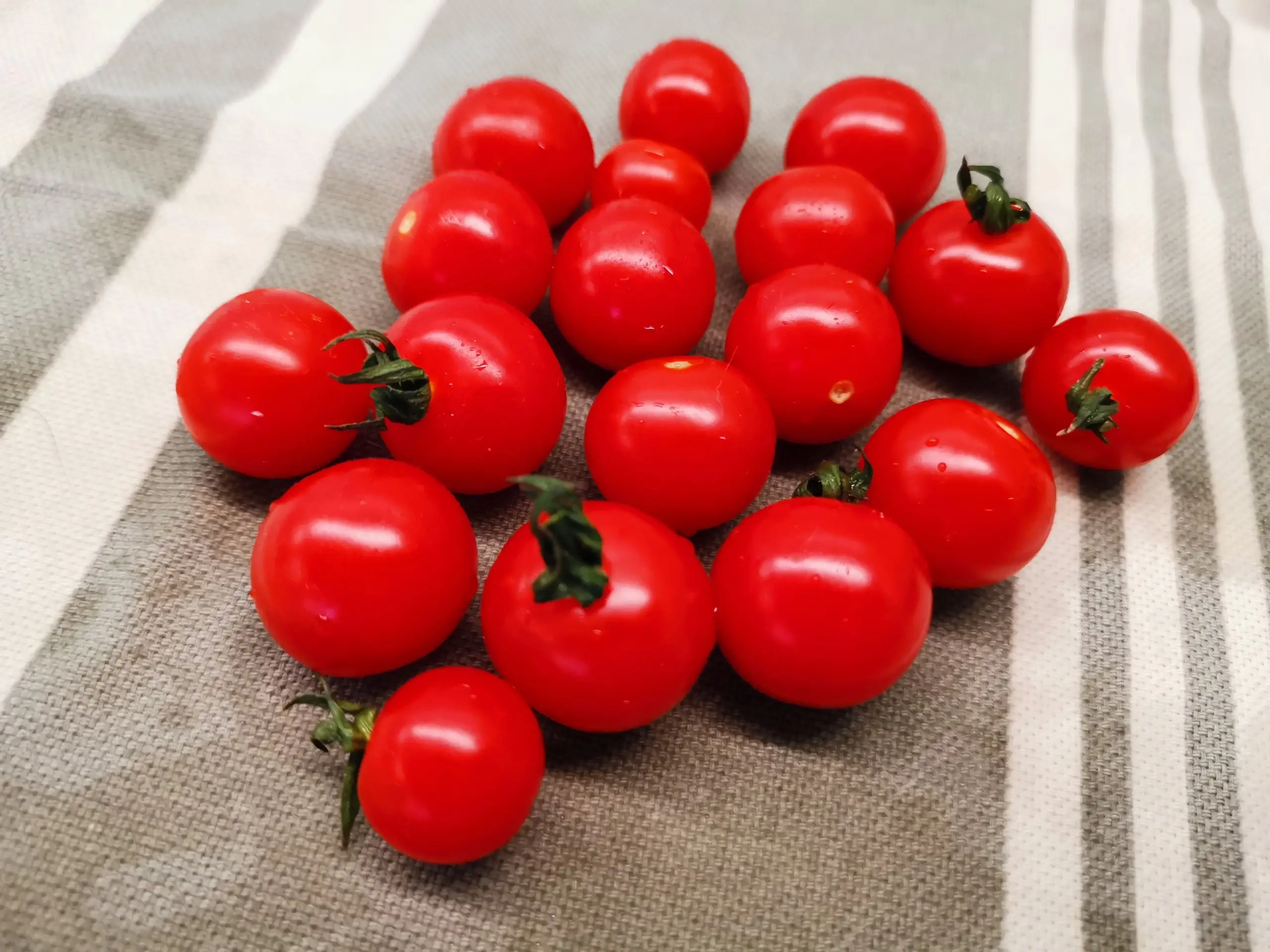 Шаг 1: Салат из пекинской капусты с помидорами