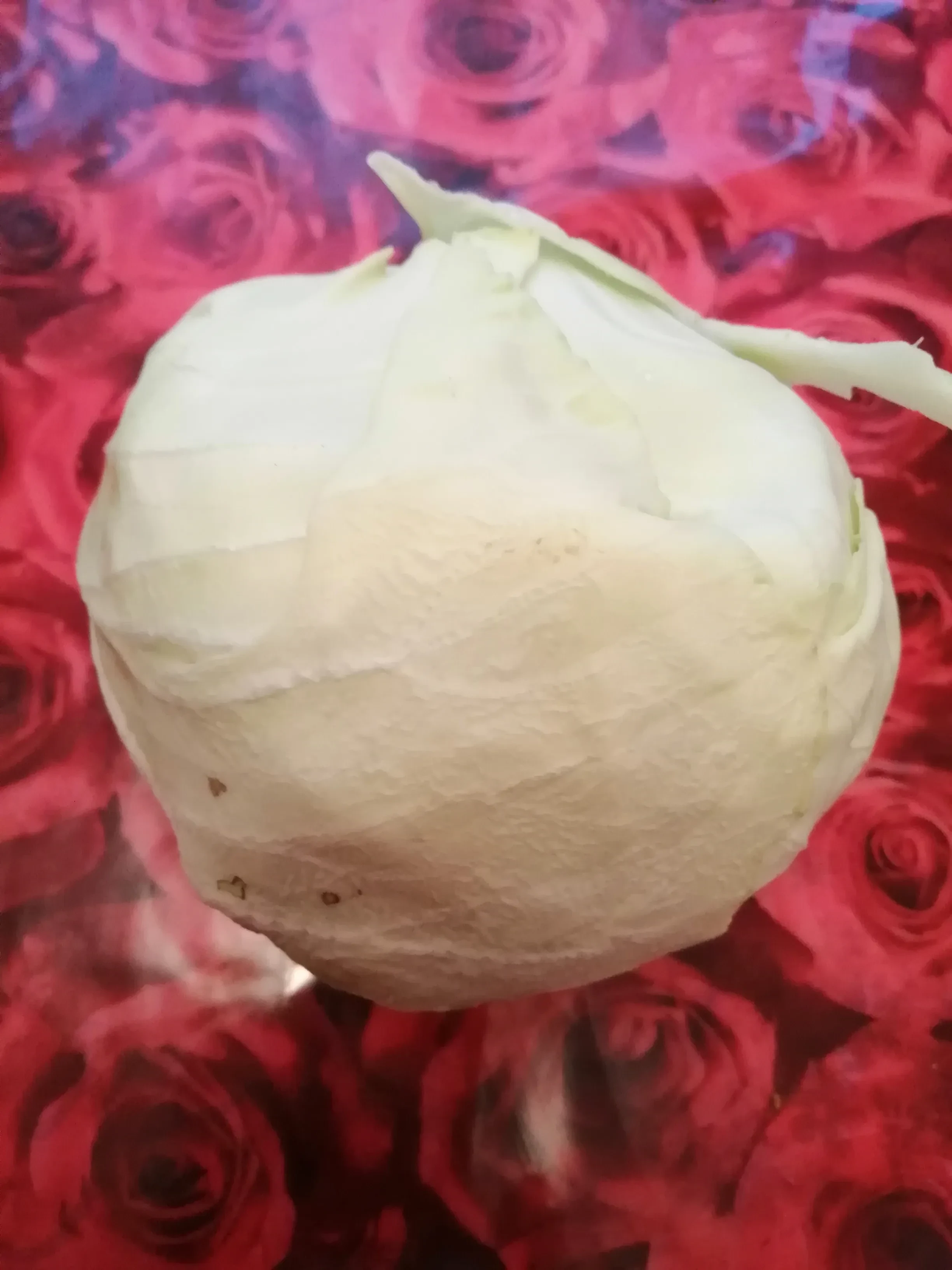 Салат капустный с кукурузой: шаг 1