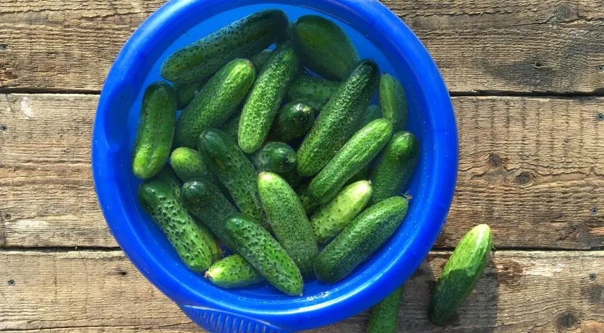 Солёные огурцы: шаг 1