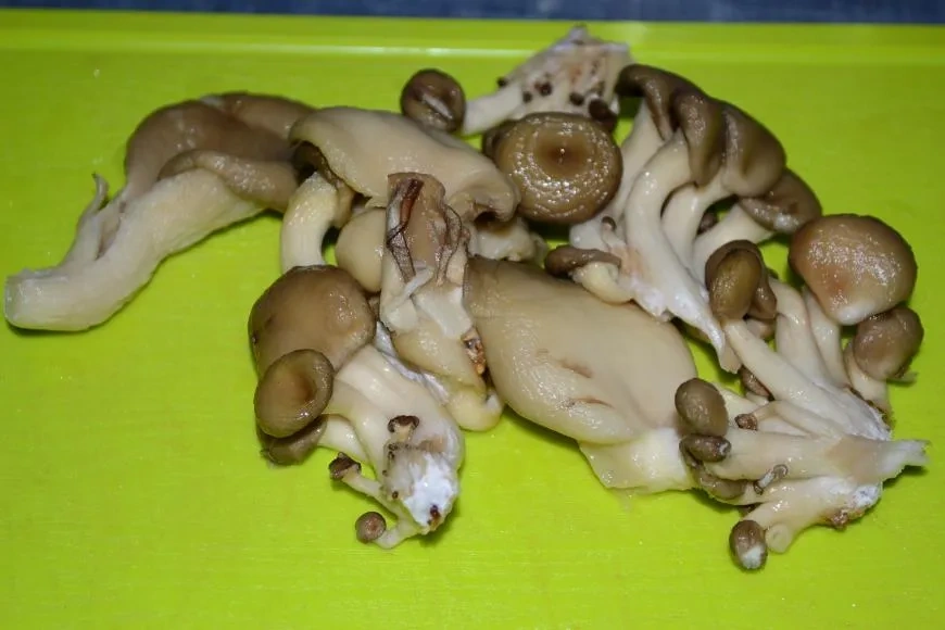 Юшка с вешенками и соломкой: шаг 1