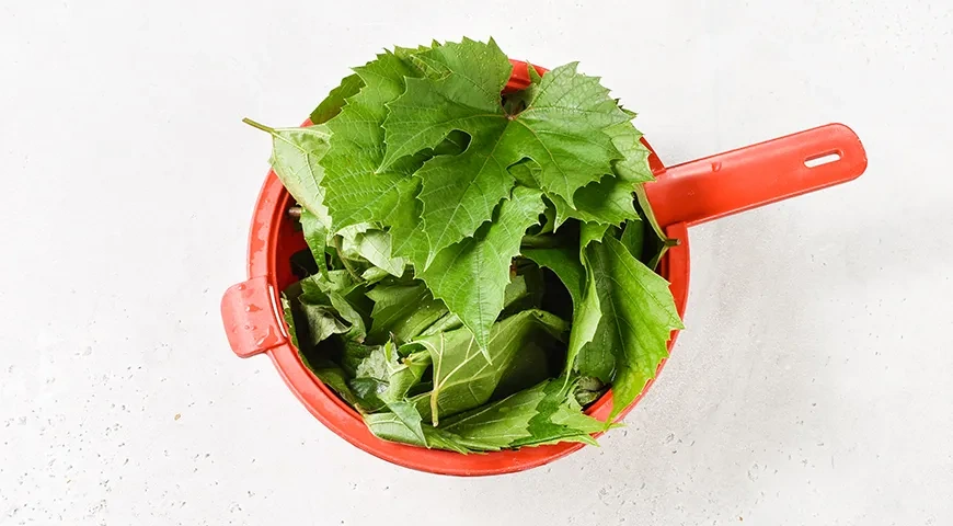 Заготовка виноградных листьев на зиму для долмы: шаг 1