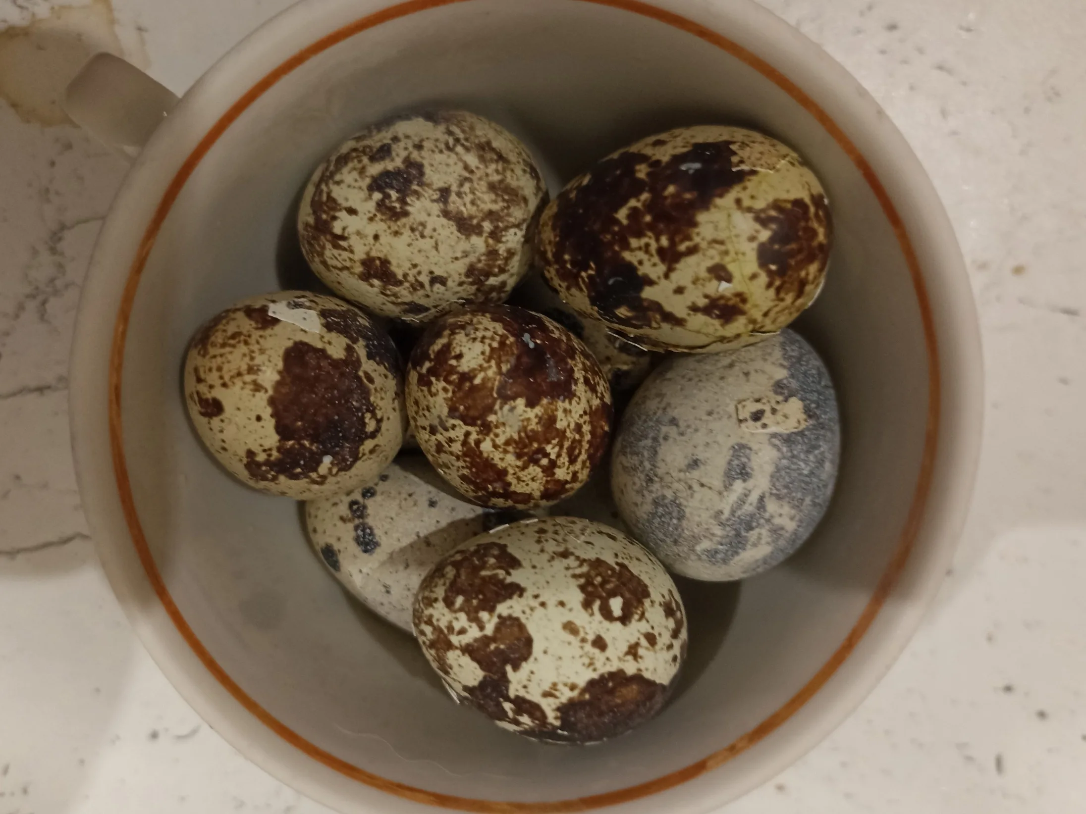 Шаг 1: Закусочные грибочки мухоморы из черри и перепелиных яиц