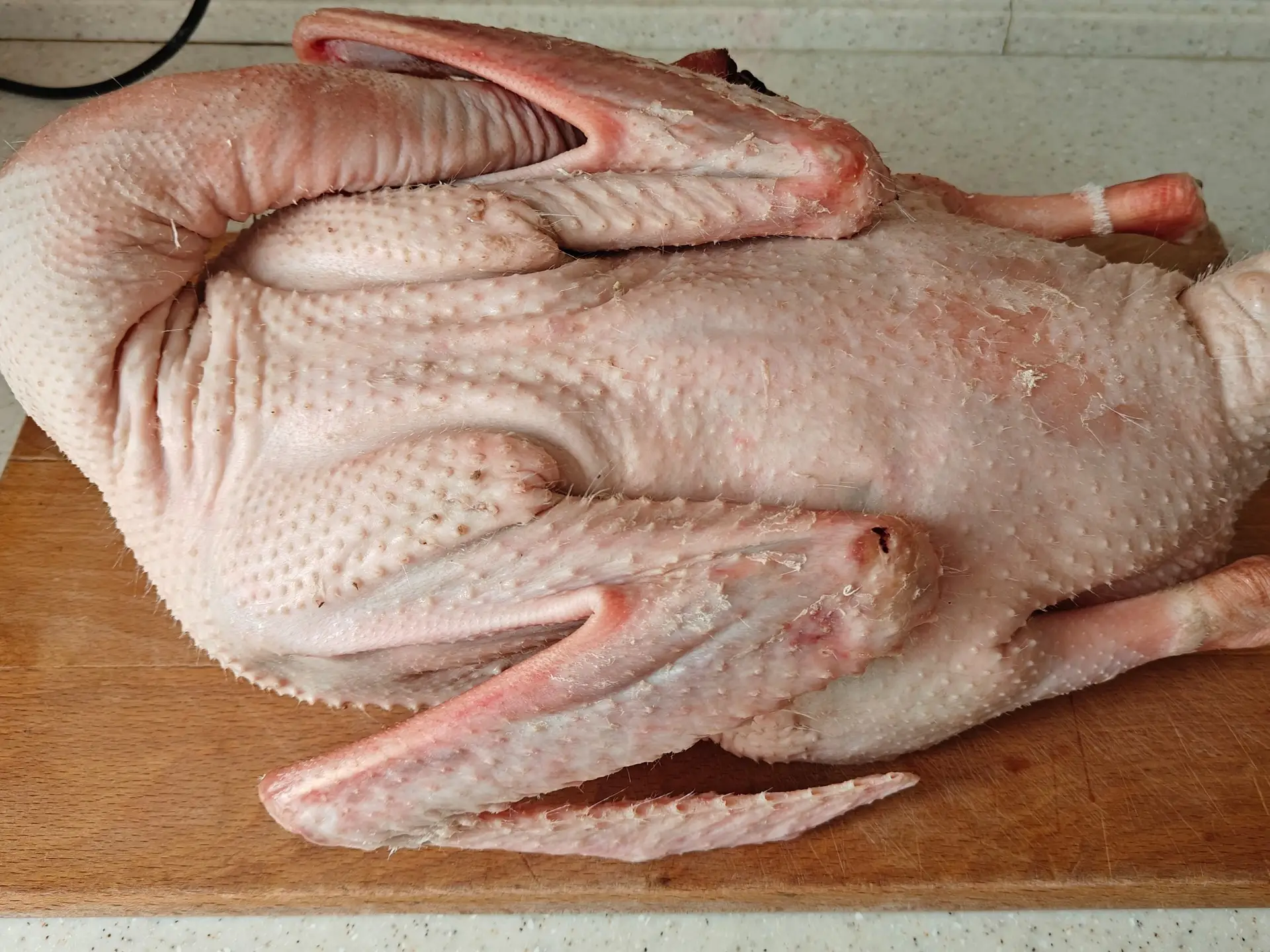 Шаг 1: Запеченный гусь с апельсинами и яблоками