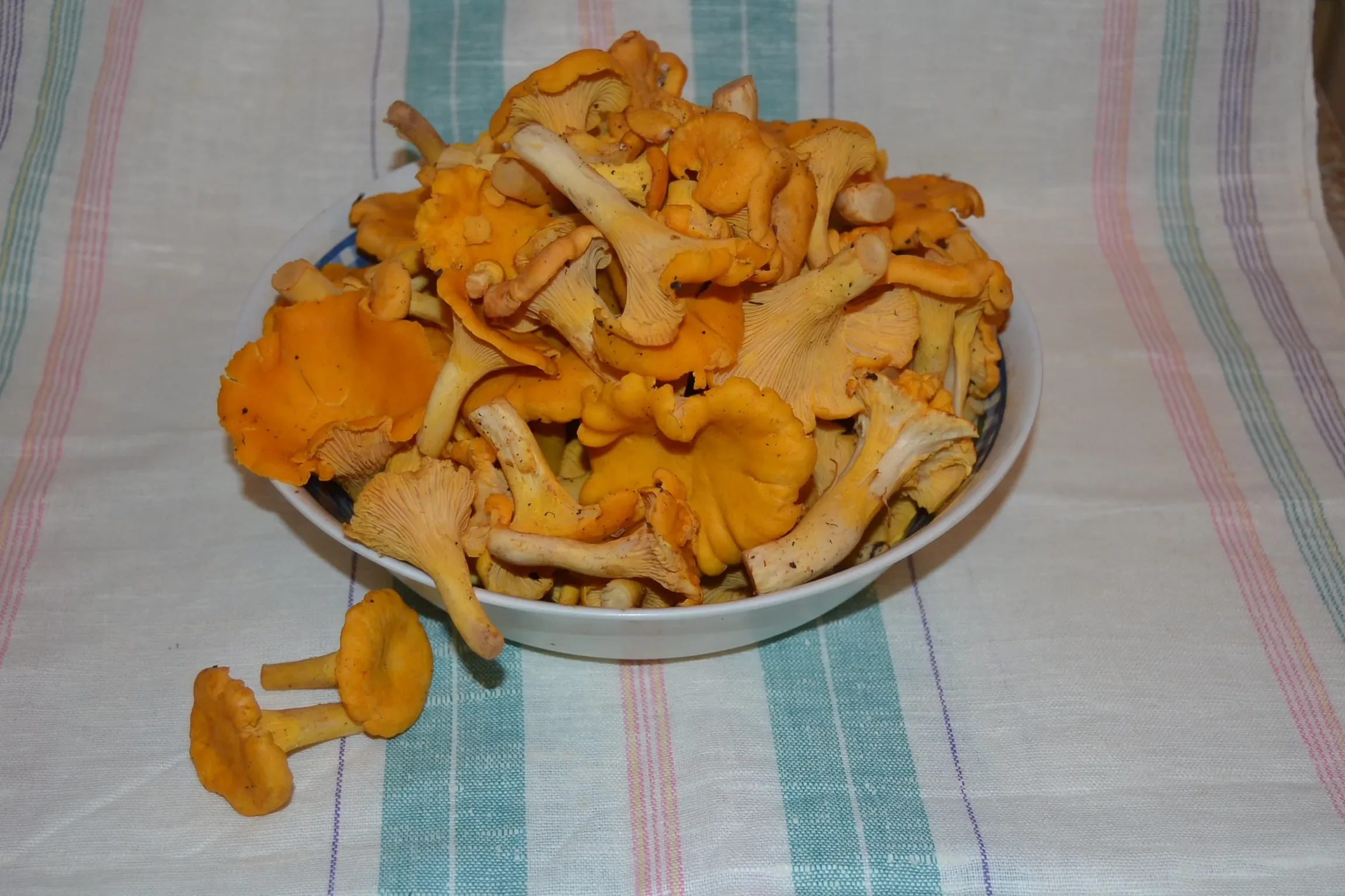 Запеканка с брокколи и лисичками: шаг 1