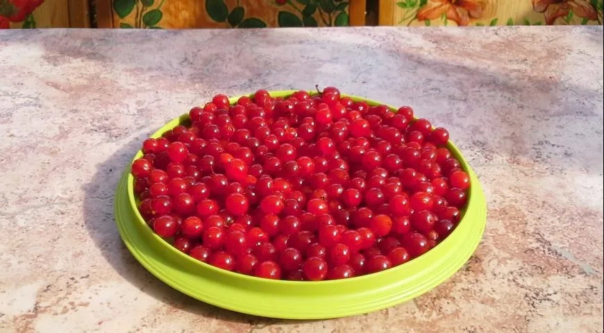 Желе из калины: шаг 1