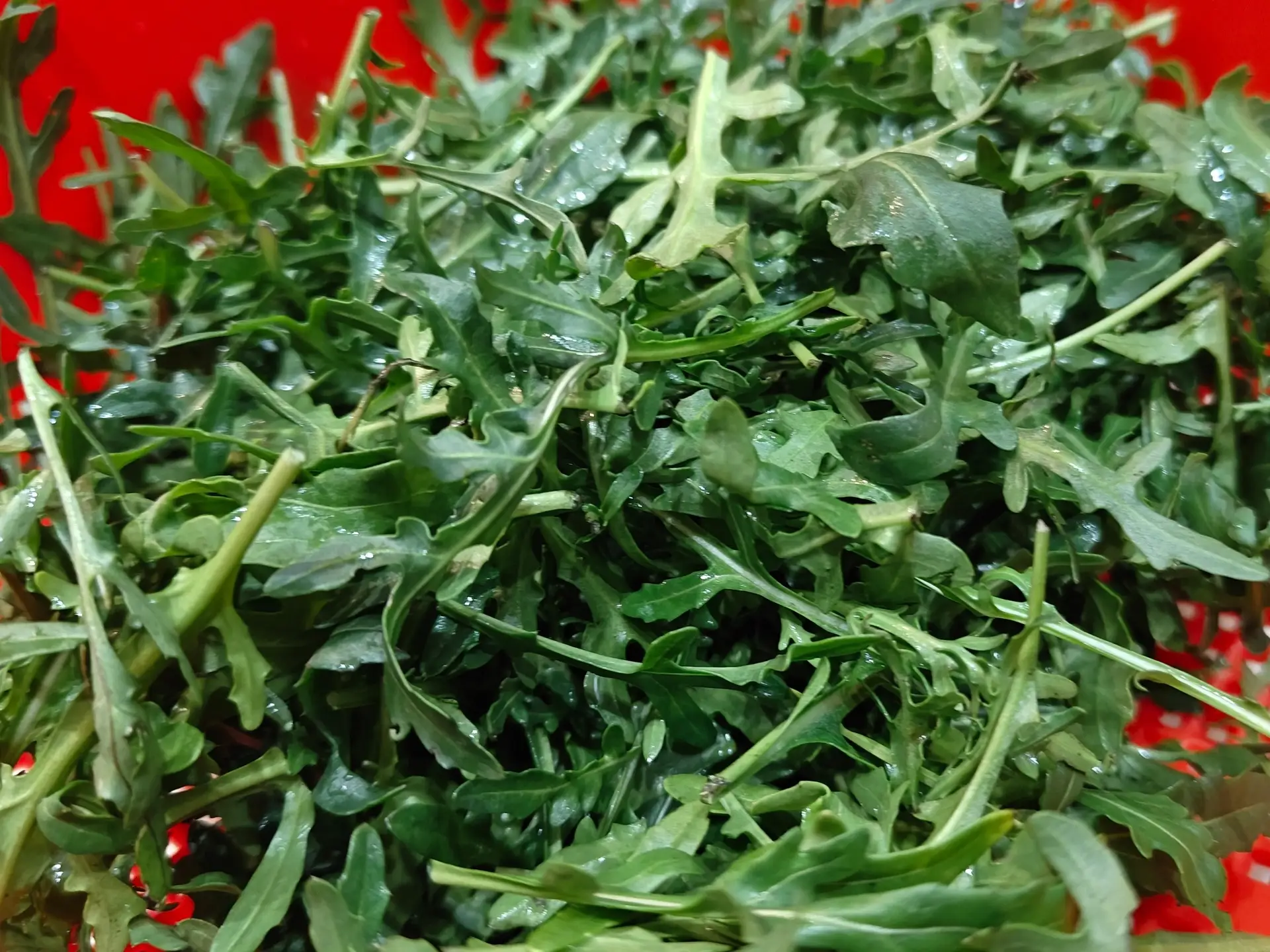 Шаг 10: Салат с гребешками и запеченными овощами