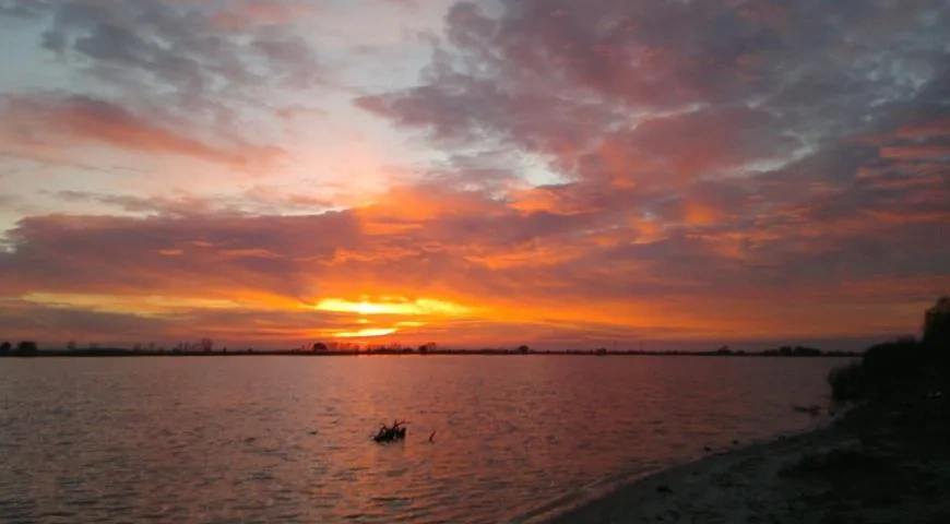 Лещ, запечённый в соли: шаг 11