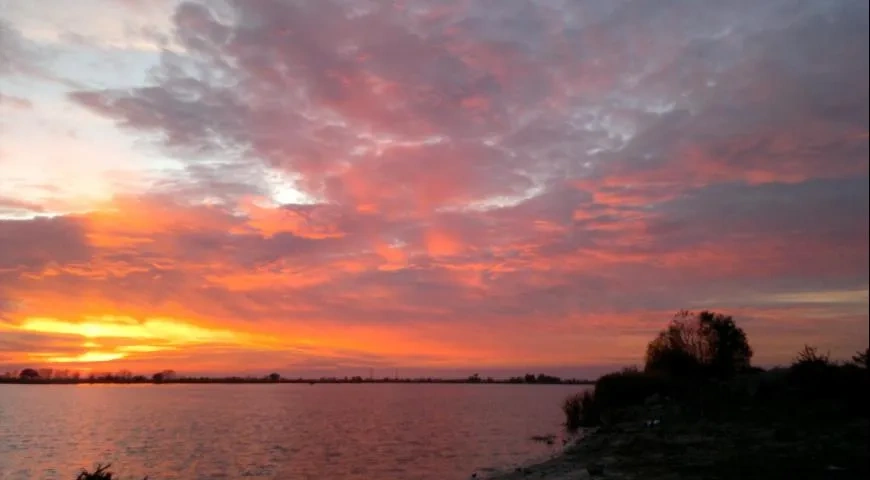 Лещ, запечённый в соли: шаг 12