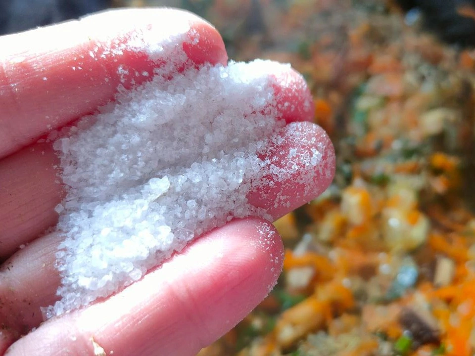 Шаг 13: Фаршированные перцы с рисом, грибами и овощами