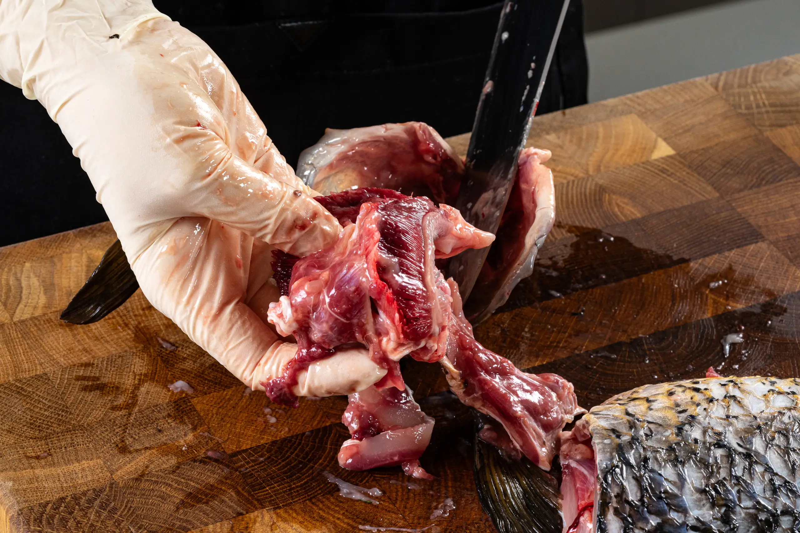 Шаг 2: Карп-белка