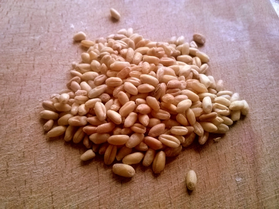 Шаг 2: Сочиво классическое