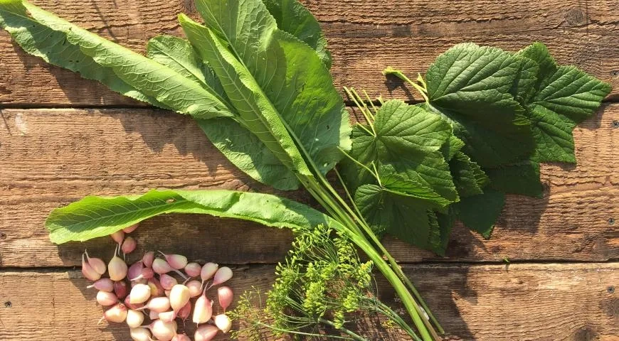 Солёные огурцы: шаг 2