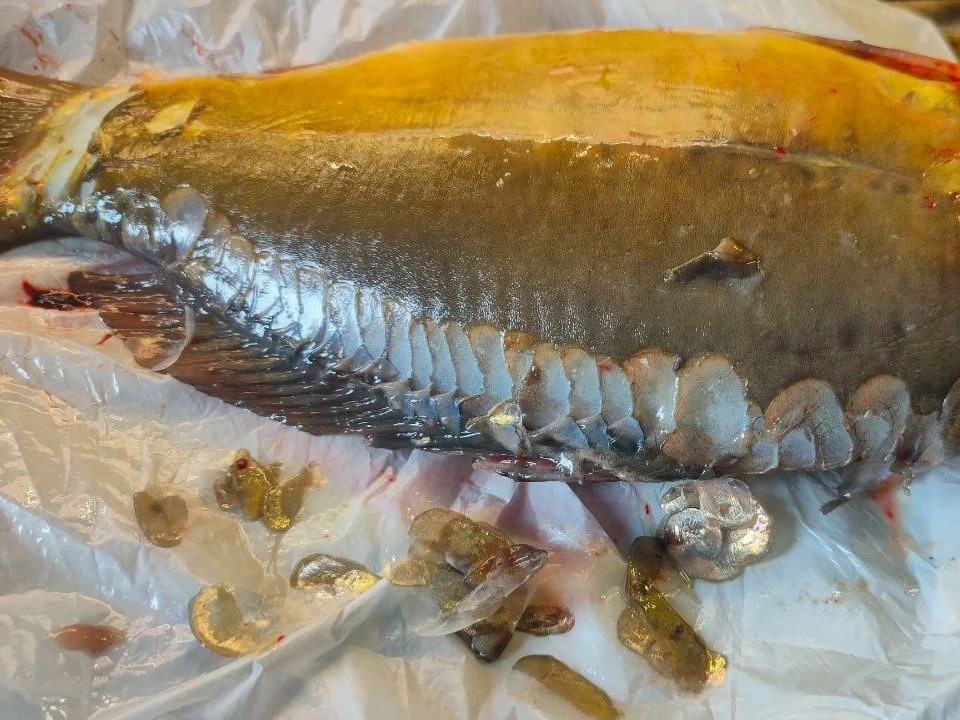 Шаг 3: Карп, запеченный в духовке