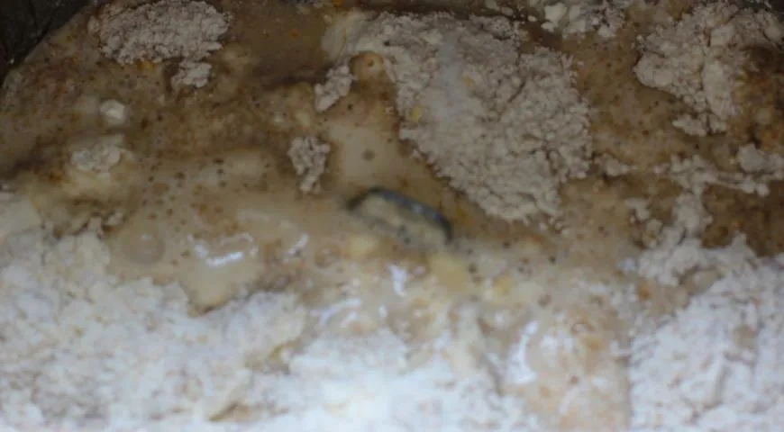 Хлеб с копченым мясом, сыром, оливками и печеным чесноком: шаг 3