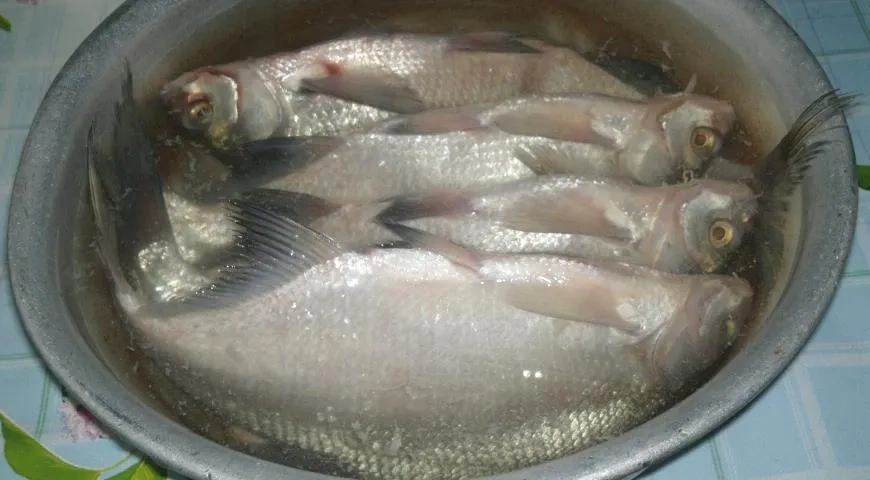 Вяленые лещи и тарань: шаг 3