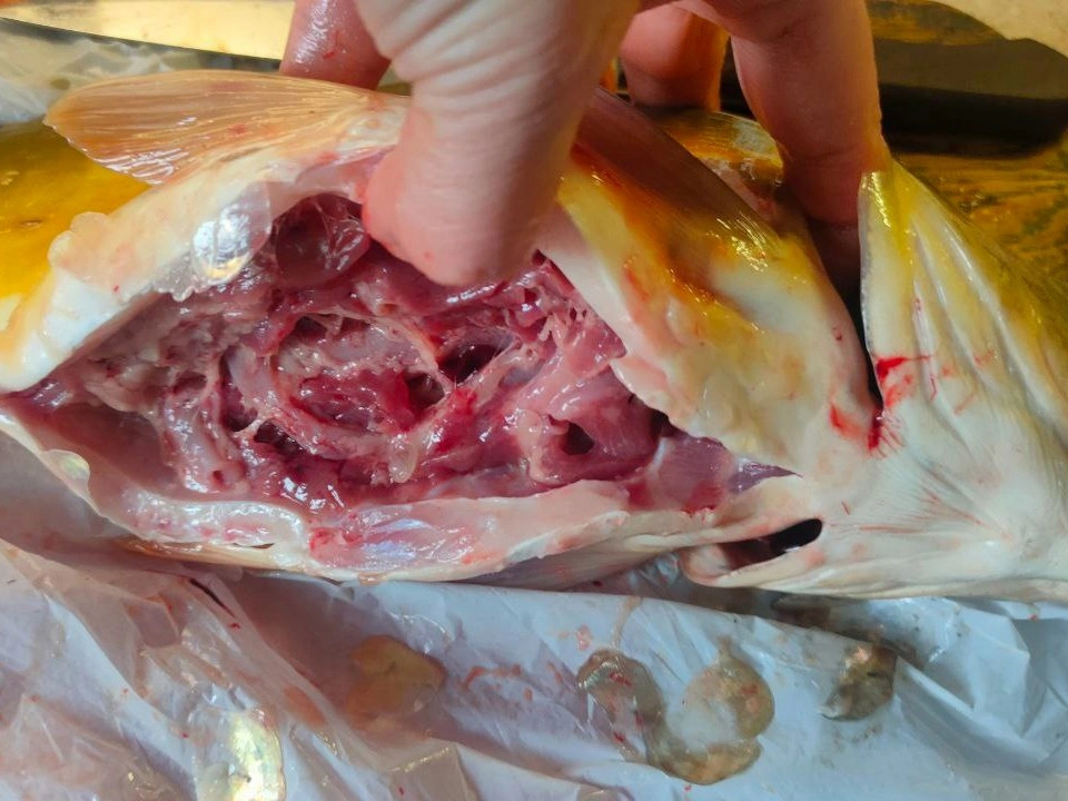 Шаг 4: Карп, запеченный в духовке