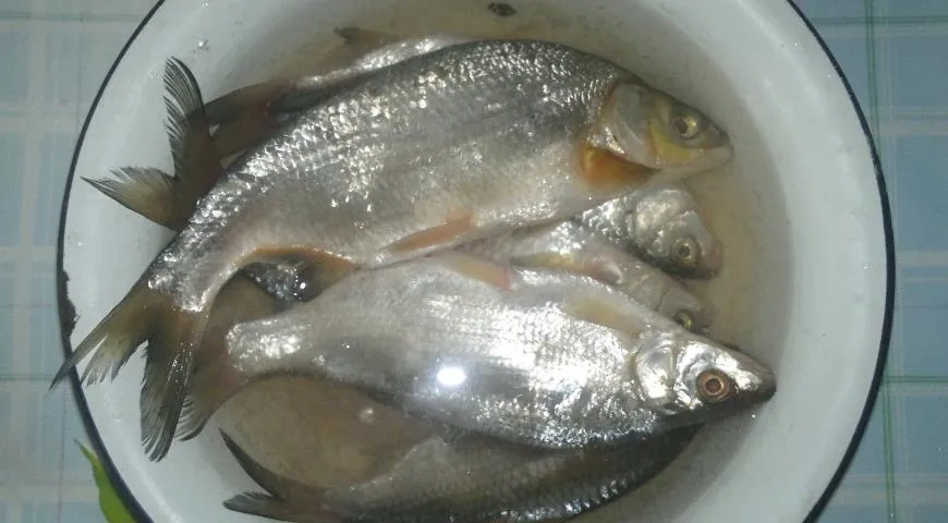 Вяленые лещи и тарань: шаг 4