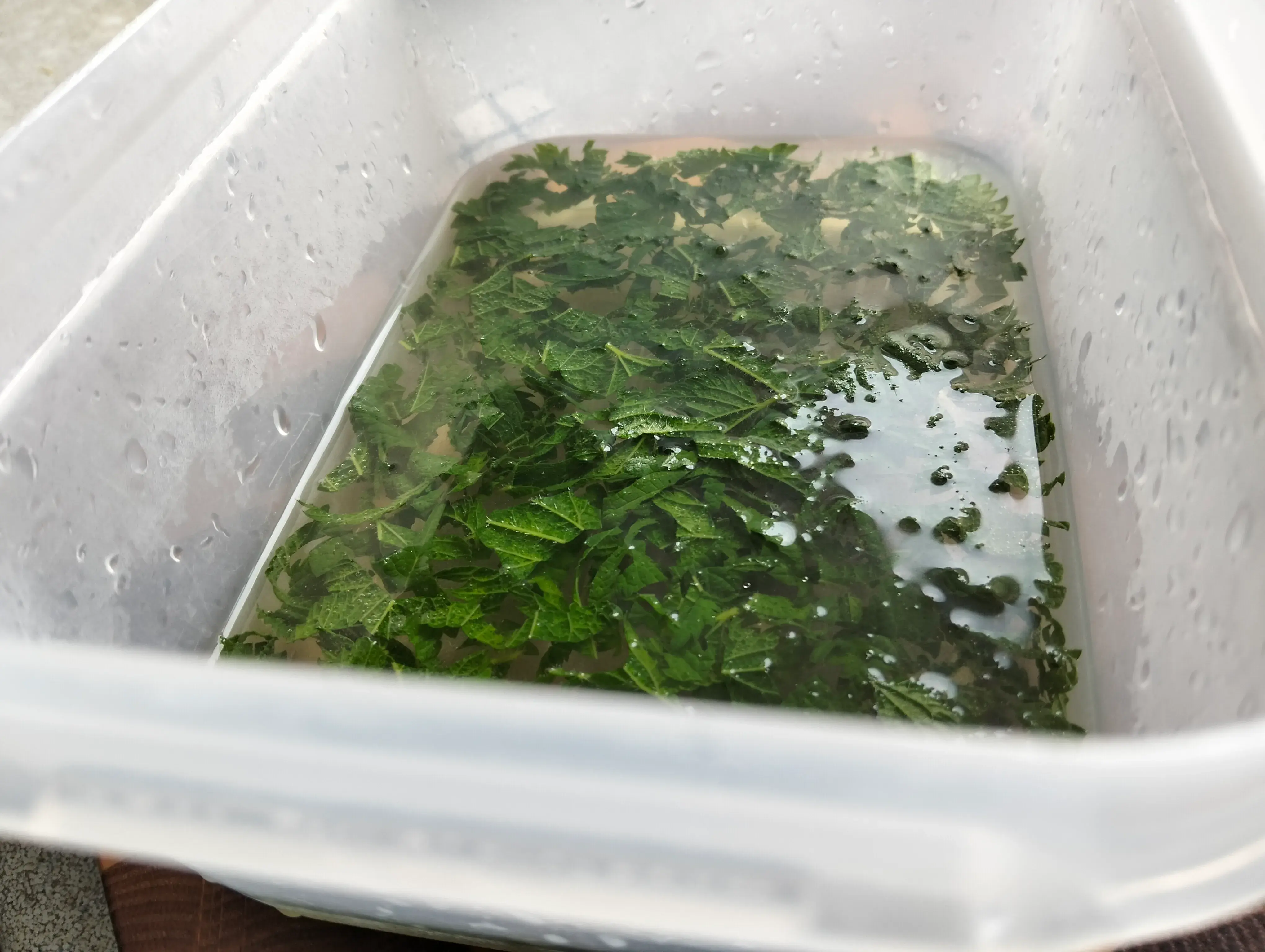 Осенние корзиночки с тыквой и крапивой: шаг 5