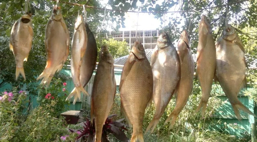 Вяленые лещи и тарань: шаг 5