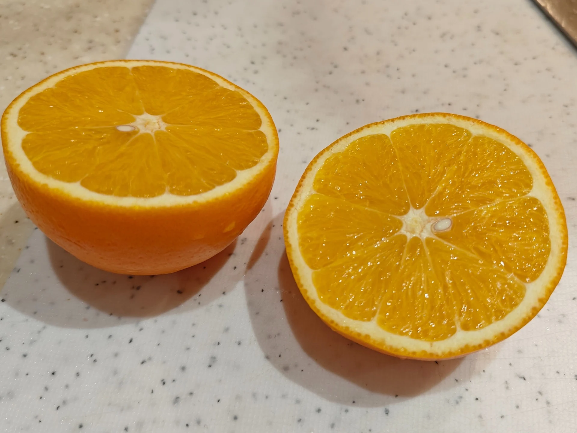 Шаг 6: Запеченный гусь с апельсинами и яблоками