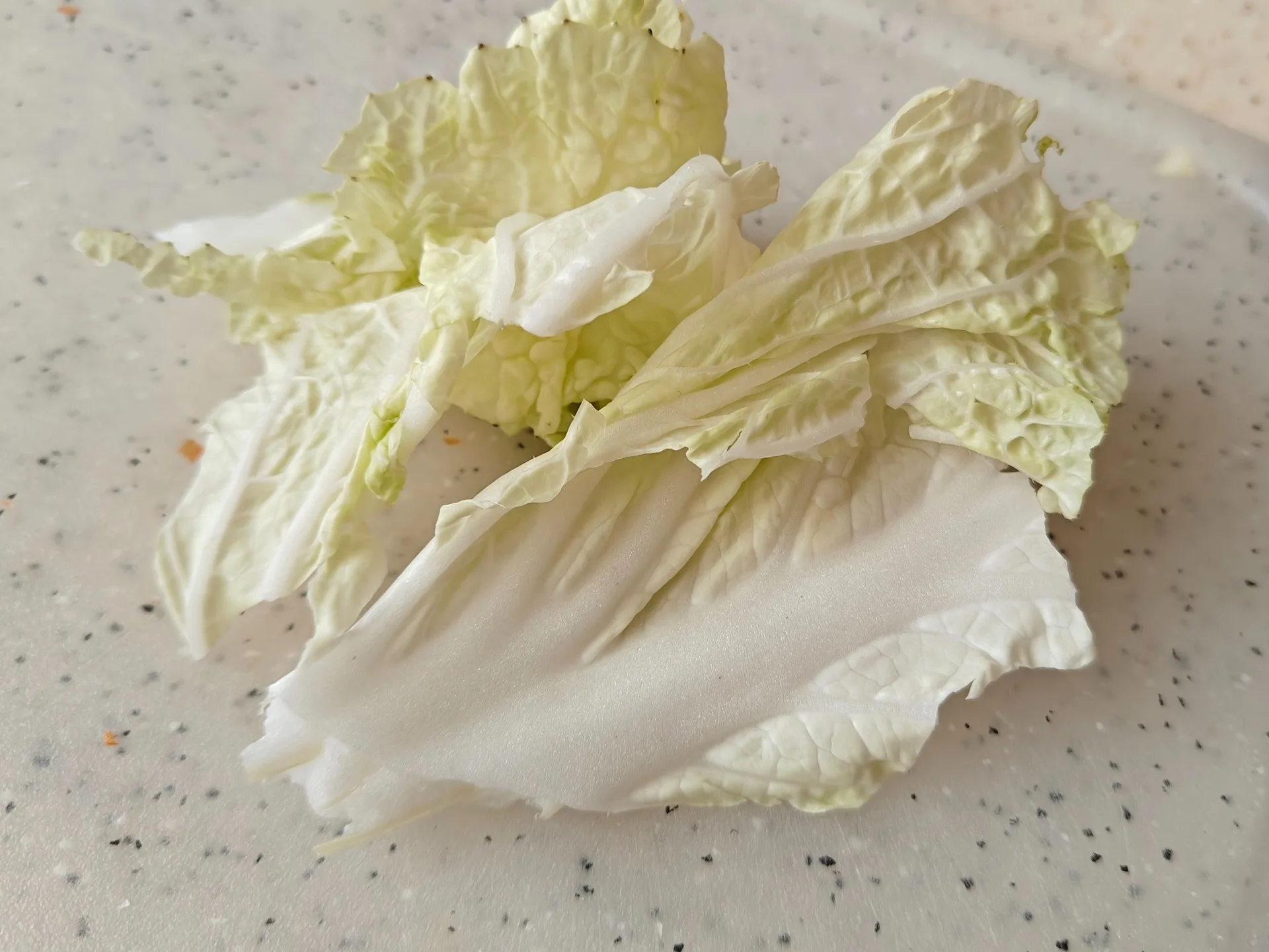 Шаг 7: Круассан с тунцом